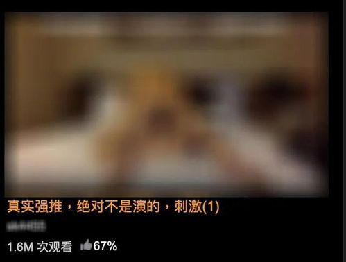 黄色片视频大全,揭秘网络色情内容的真相与危害