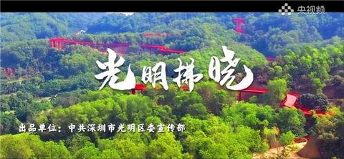 光明歌曲视频,光明歌曲视频感动瞬间