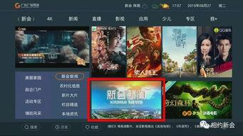 今日新会新闻视频