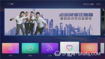 无广告视频网,畅享纯净观影体验